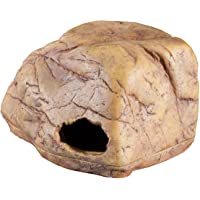 Los mejores  - Exo Terra Cueva para Gecko Mediana
